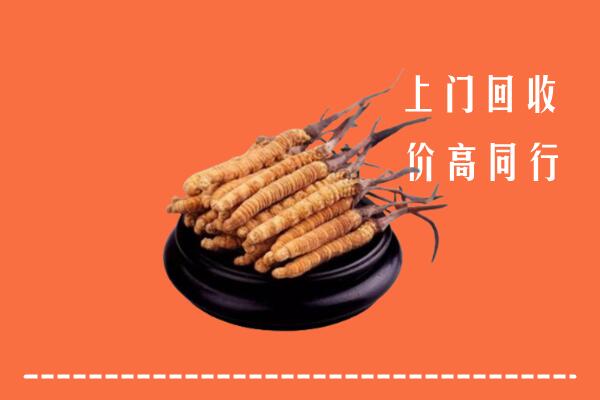 高价求购：周口市郸城县回收散虫草