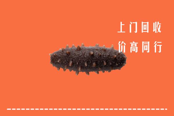高价求购：周口市郸城县回收海参