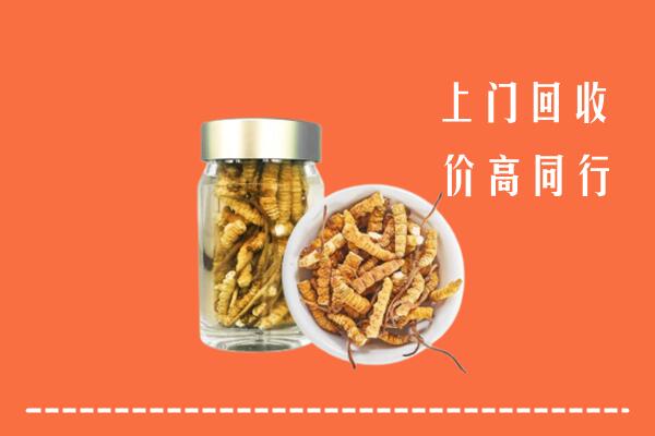 周口市郸城县回收冬虫夏草